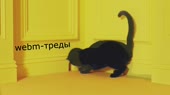 1280x720