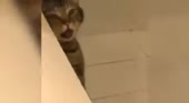 400x220