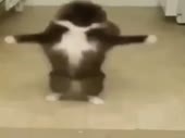 480x360