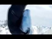 480x360