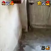 720x720