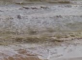 490x360