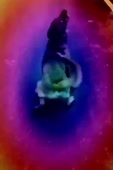 720x1076