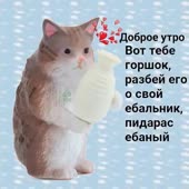 400x400