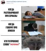 530x581