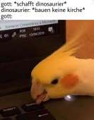 720x916