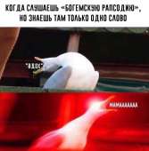 947x960