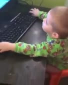 288x360