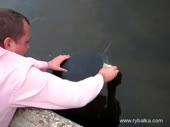 480x360