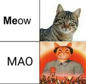 600x586
