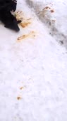 406x720