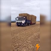 720x720