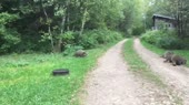640x360