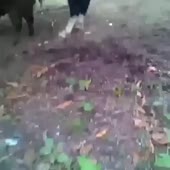 360x360