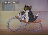 1200x880