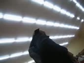 480x360
