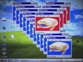 1440x1080