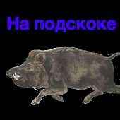 400x400