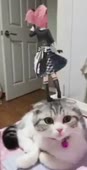 334x648