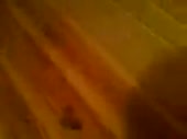 320x240