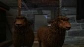 638x360