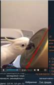 460x720
