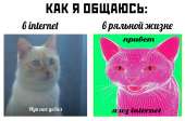 1212x804