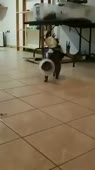 280x500