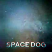 320x320