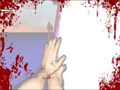 480x360