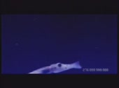 480x360