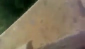 400x232