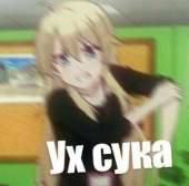 528x524