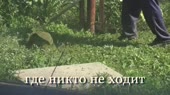 640x360