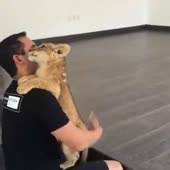 360x360