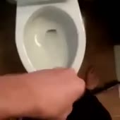 360x360