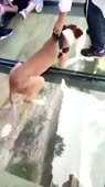 360x640