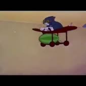360x360