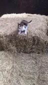 360x634