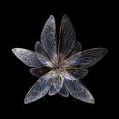1000x1000