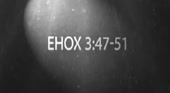 1248x688