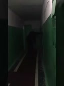 270x360