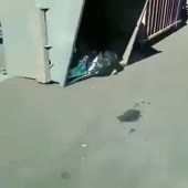 360x360