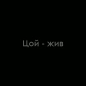 360x360