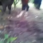 360x360