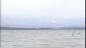 1280x720