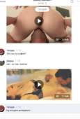 431x636