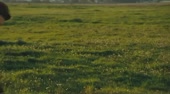 640x356