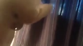 400x222