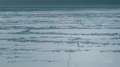 1280x720